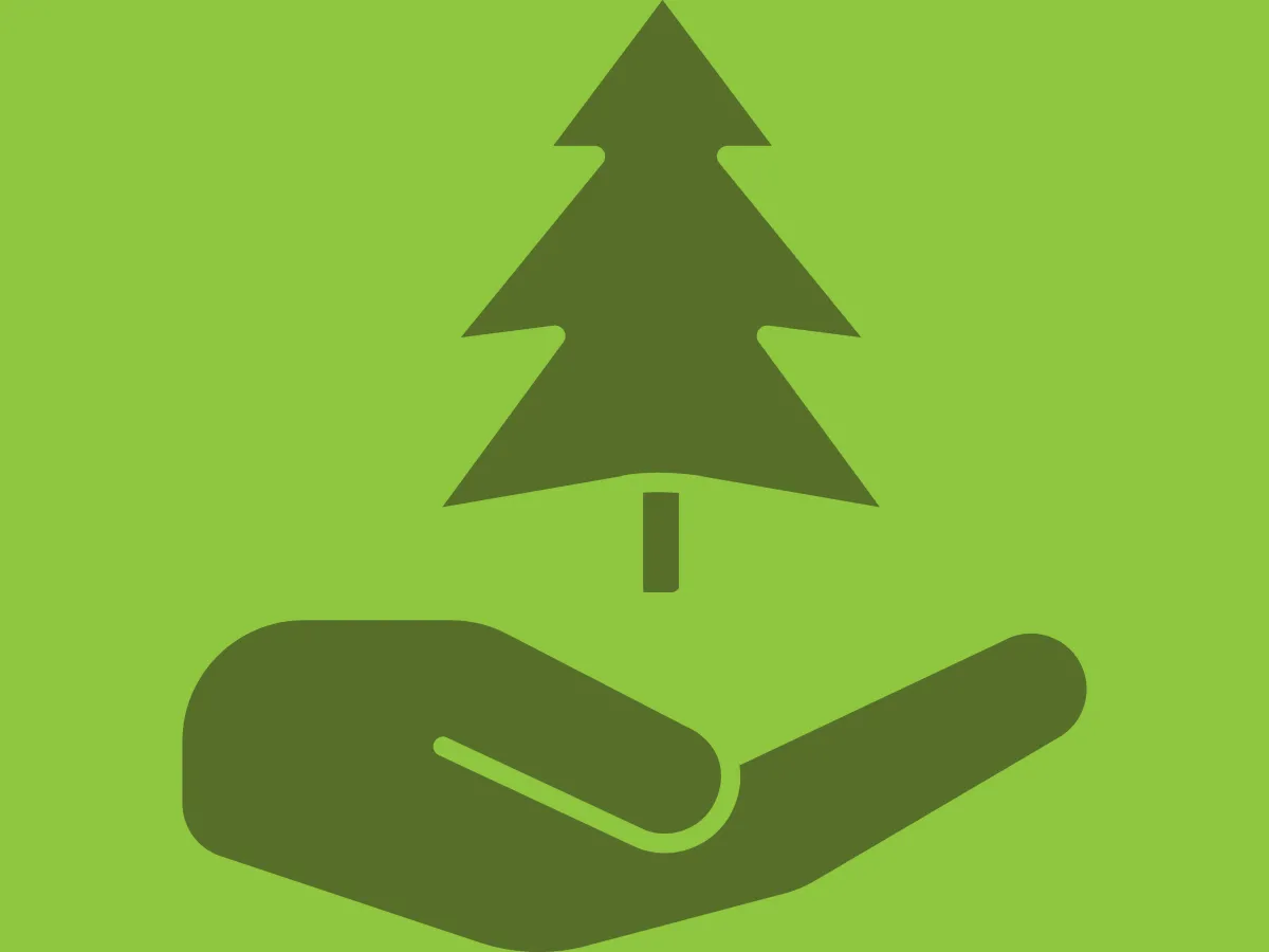 giving tree